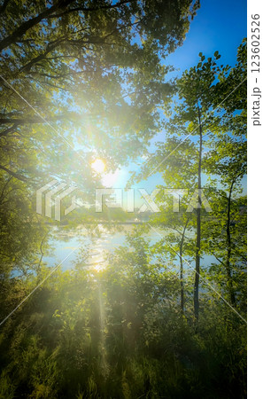 A serene nature scene with sunlight reflecting beautifully on a calm body of water 123602526