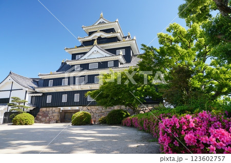 青空を背景にツツジ咲く初夏の岡山城本段から見た天守閣 123602757