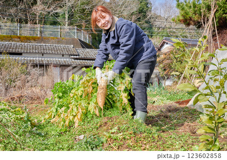 畑作業をする女性 田舎暮らし 家庭菜園 畑作業をする女性 田舎暮らし 家庭菜園 123602858