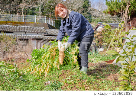 畑作業をする女性 田舎暮らし 家庭菜園 畑作業をする女性 田舎暮らし 家庭菜園 123602859