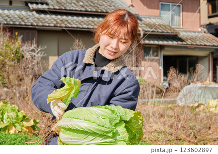 畑作業をする女性 田舎暮らし 家庭菜園 畑作業をする女性 田舎暮らし 家庭菜園 123602897