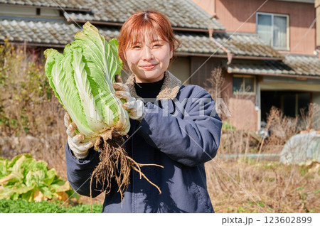 畑作業をする女性 田舎暮らし 家庭菜園 畑作業をする女性 田舎暮らし 家庭菜園 123602899
