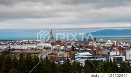 Landmark View of Reykjavik from the Observatory, Iceland 123602963
