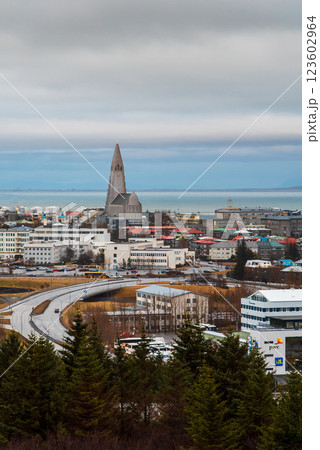 Landmark View of Reykjavik from the Observatory, Iceland 123602964