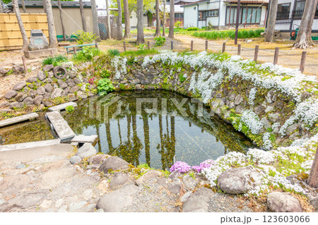 名水百選　六郷湧水群　御台所清水　町のみんじゃ（台所）湧水散策 123603066