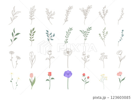 Vector illustrations of leaves and flowers. 123603085