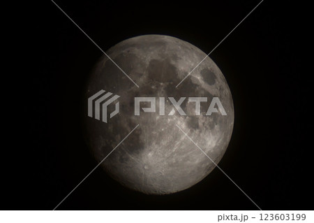 Bright moon in darkness revealing distinct maria and crater patterns Bright moon in darkness revealing distinct maria and crater patterns 123603199