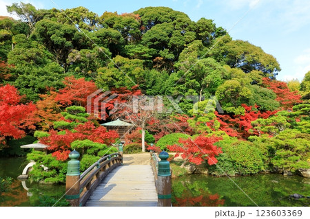 長府庭園　紅葉景色 123603369