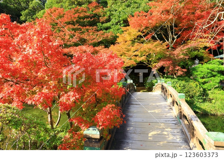 長府庭園　紅葉景色 123603373