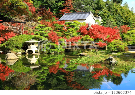 長府庭園 紅葉景色 長府庭園 紅葉景色 123603374