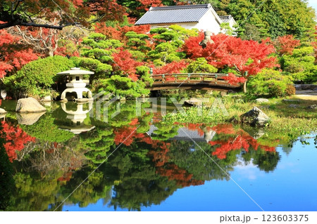 長府庭園 紅葉景色 長府庭園 紅葉景色 123603375