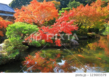 長府庭園　紅葉景色 123603379