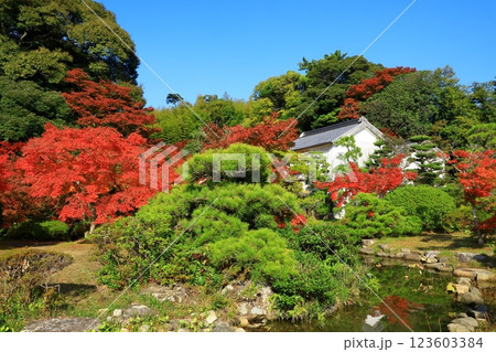 長府庭園　紅葉景色 123603384
