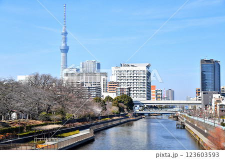 猿江恩賜公園、墨東病院、清水橋/横十間川方面を望む(東京都江東区)【2025.3】 猿江恩賜公園、墨東病院、清水橋/横十間川方面を望む(東京都江東区)【2025.3】 123603593