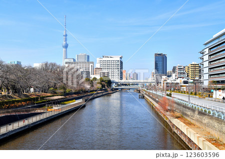 猿江恩賜公園、墨東病院、清水橋/横十間川方面を望む(東京都江東区)【2025.3】 猿江恩賜公園、墨東病院、清水橋/横十間川方面を望む(東京都江東区)【2025.3】 123603596