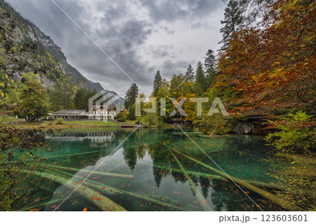Blausee Switzerland, nature landscape at blue lake in autumn season Blausee Switzerland, nature landscape at blue lake in autumn season 123603601