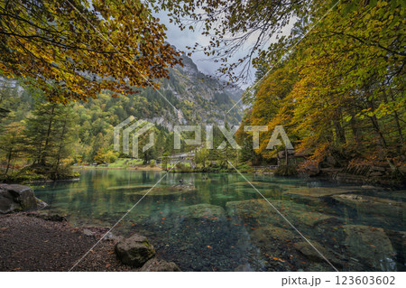 Blausee Switzerland, nature landscape at blue lake in autumn season Blausee Switzerland, nature landscape at blue lake in autumn season 123603602