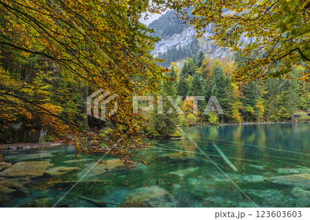 Blausee Switzerland, nature landscape at blue lake in autumn season Blausee Switzerland, nature landscape at blue lake in autumn season 123603603