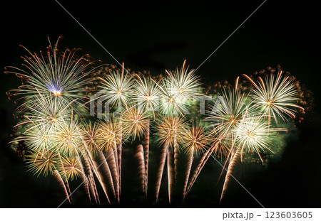 Real Fireworks display celebration, Colorful New Year Firework 123603605