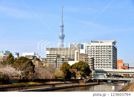 猿江恩賜公園、墨東病院、清水橋/横十間川方面を望む(東京都江東区)【2025.3】 猿江恩賜公園、墨東病院、清水橋/横十間川方面を望む(東京都江東区)【2025.3】 123603764