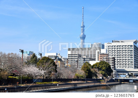 猿江恩賜公園、墨東病院、清水橋/横十間川方面を望む(東京都江東区)【2025.3】 猿江恩賜公園、墨東病院、清水橋/横十間川方面を望む(東京都江東区)【2025.3】 123603765
