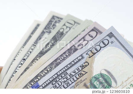 色々な種類の米ドル紙幣 123603810