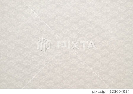 和紙による透かしアート【背景素材】 和紙による透かしアート【背景素材】 123604034