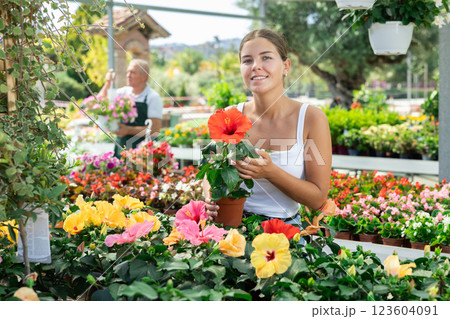 Girl walks through exhibition of ornamental plants, examines hibiscus in showcase 123604091