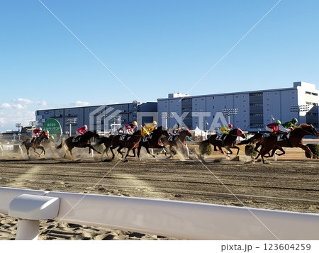 駆け走る馬達 駆け走る馬達 123604259