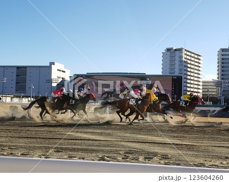 走り抜ける競走馬達 走り抜ける競走馬達 123604260