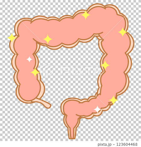 清潔な大腸 123604468