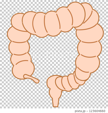 General large intestine 123604660