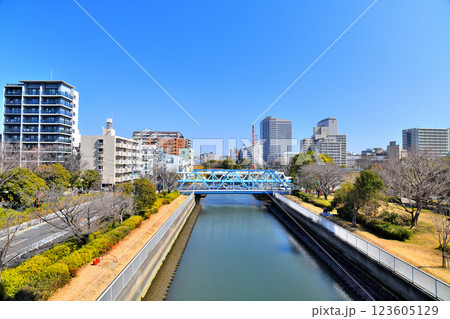 木場公園/木場公園大橋より崎川橋方面を望む(東京都江東区)【2025.3】 木場公園/木場公園大橋より崎川橋方面を望む(東京都江東区)【2025.3】 123605129