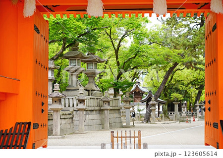 兵庫　西宮　西宮神社表大門と境内の灯籠（初夏） 123605614