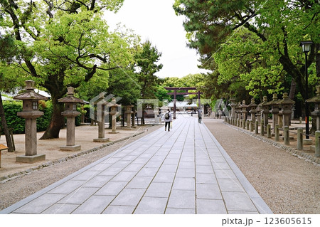 兵庫　西宮　西宮神社　南宮神社前から本殿への参道（前方は社務所、初夏） 123605615
