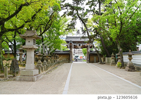 兵庫　西宮　西宮神社　南門と参道（初夏） 123605616