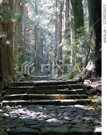 和歌山 那智勝浦 熊野古道 大門坂(晩秋) 和歌山 那智勝浦 熊野古道 大門坂(晩秋) 123605623