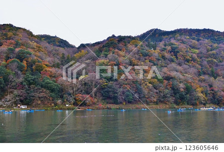 京都　嵐山　紅葉の嵐山と大堰川のボート（初冬） 123605646