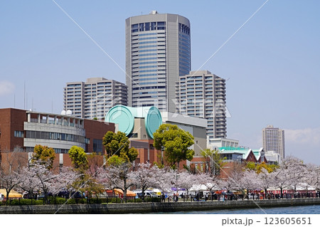 大阪　造幣局と川辺の桜の通り抜け（晩春） 123605651
