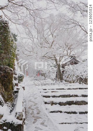 雪降りしきる京都大原の里を散策する。 雪降りしきる京都大原の里を散策する。 123605814