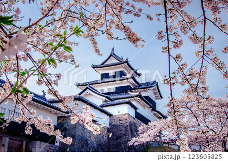 福島県白河市 春の白河小峰城 123605825