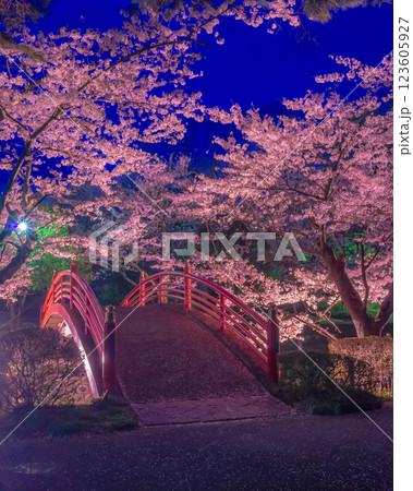 福島県須賀川市 翠ヶ丘公園 夜桜 福島県須賀川市 翠ヶ丘公園 夜桜 123605927