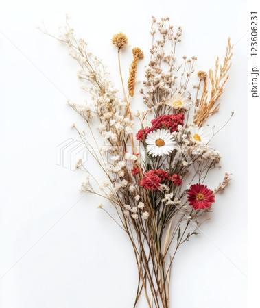 Dried flowers bouquet on white background 123606231