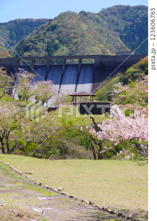 兵庫県南あわじ市　桜の咲く大日ダム公園と大日川ダムの放流 123606765