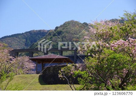 兵庫県南あわじ市　桜の咲く大日ダム公園 123606770