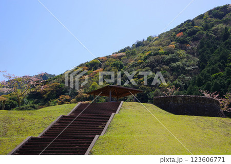 兵庫県南あわじ市 春の大日ダム公園 兵庫県南あわじ市 春の大日ダム公園 123606771