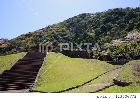 兵庫県南あわじ市　春の大日ダム公園 123606772