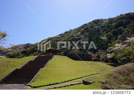 兵庫県南あわじ市　春の大日ダム公園 123606773