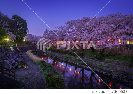 栃木県 真岡市・春の行屋川水辺公園 栃木県 真岡市・春の行屋川水辺公園 123606883