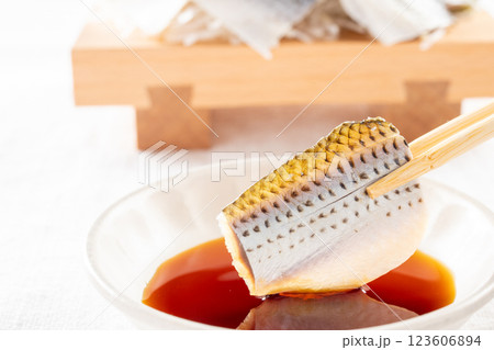 コハダの酢漬け 123606894